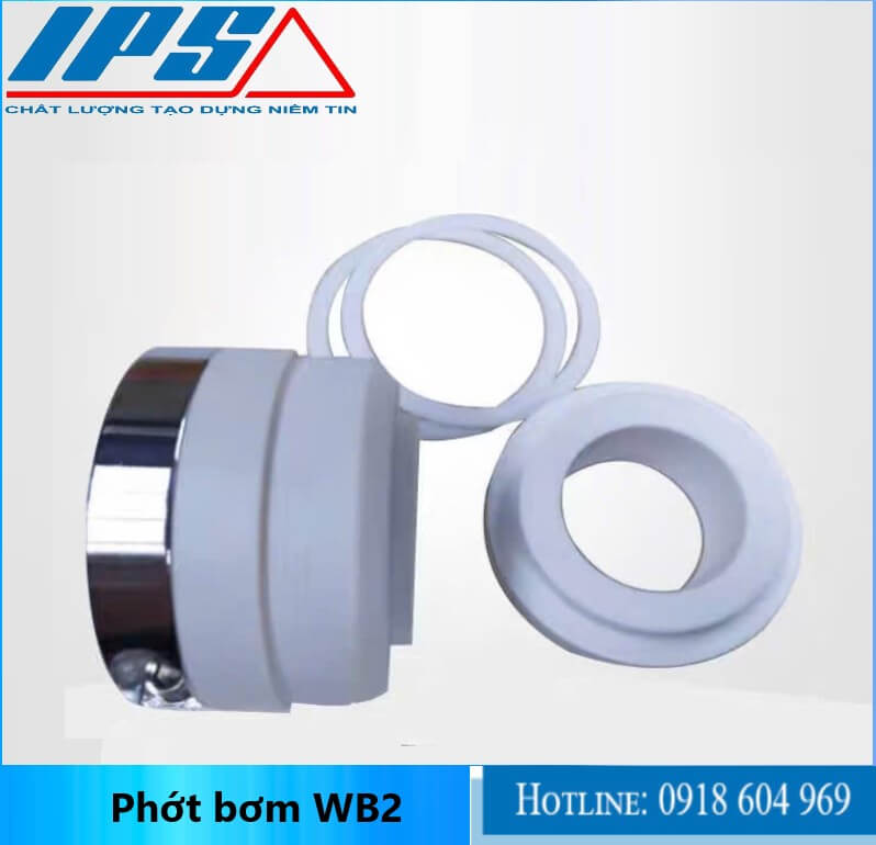 Phớt  WB2 -11.